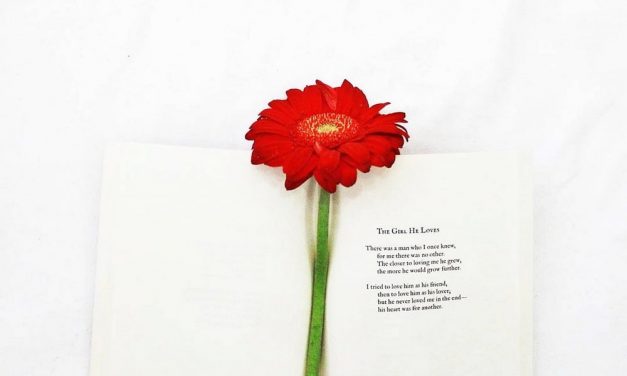 Kebiasaan Membaca Buku di Perjalanan yang Ingin Saya Tularkan ke Kamu